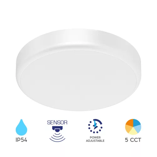  Ceiling/Wall Sensor Light 20W 230VAC 3CCT White